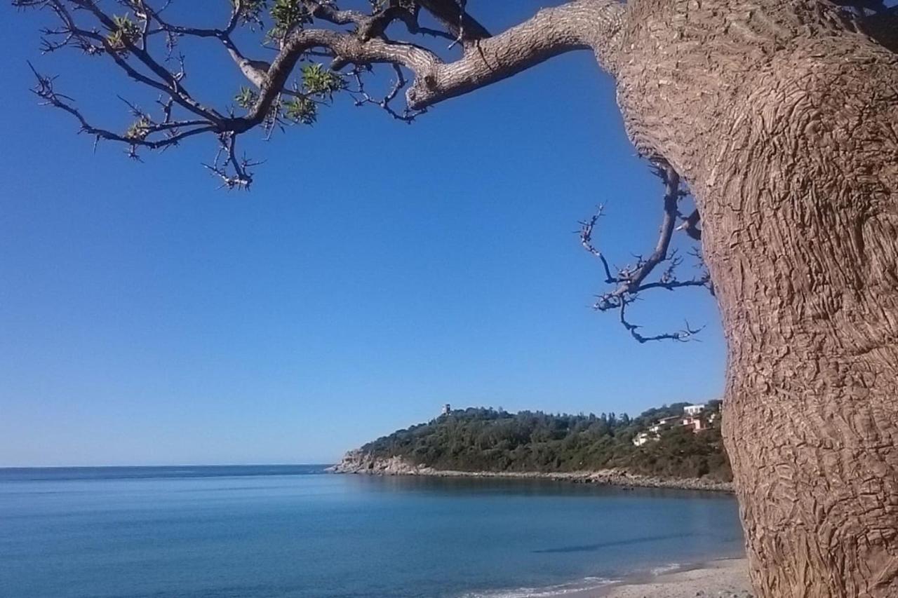 דירות ארבאטקס Un Po Di Relax A Pochi Passi Dal Mare! מראה חיצוני תמונה